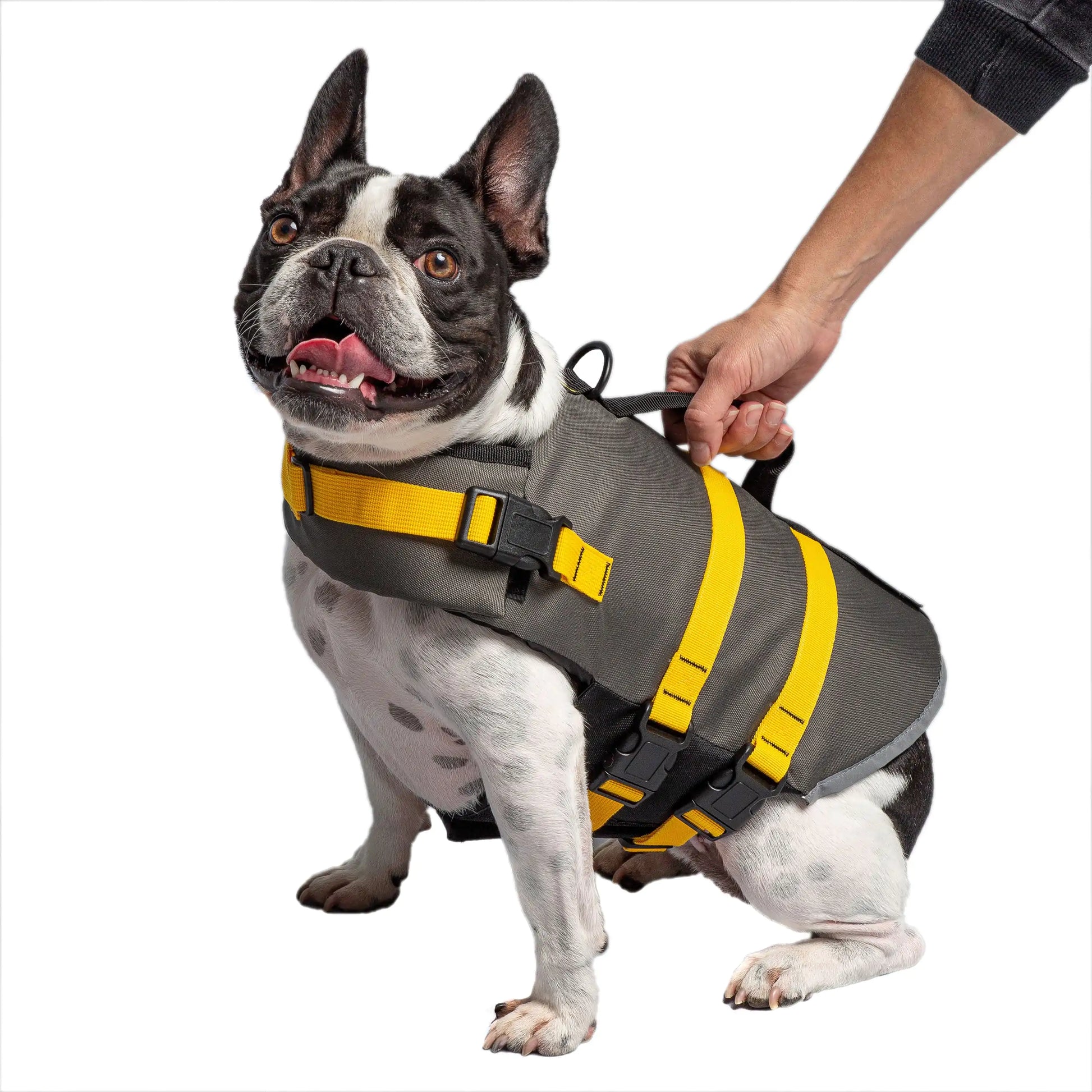 Army Dog Vest - Ryzela